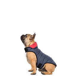Produktbild von Trespaws Gepolsterte wendbare Hundejacke Kimmi