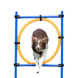 Produktbild von TRIXIE Agility Ring Fun-Agility blau