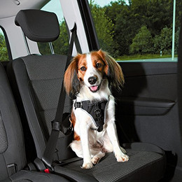 Produktbild von Trixie Auto-Sicherheitsgeschirr Dog Protect S-M - 1 Stk.