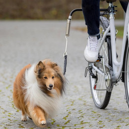 Produktbild von Trixie Biker-Set de Luxe Fahrradhalter für Hunde