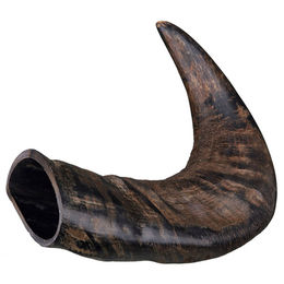 Trixie Büffel-Kauhorn – Bild 1 von 4