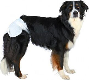 Produktbild von Trixie Einwegwindeln für Hündinnen XS-S - 2 x 12 Stk.