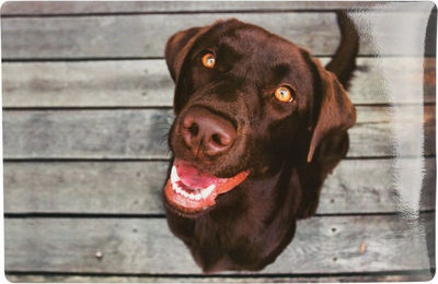 Produktbild von TRIXIE Futternapf Hundezubehör - Napfunterlage - ca. 44 x 28 cm