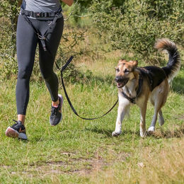 TRIXIE Joggingleine für Hunde mit Bauchgurt M-L 1,10–1,50 m 20 mm schwarz/grafit – Bild 1 von 6