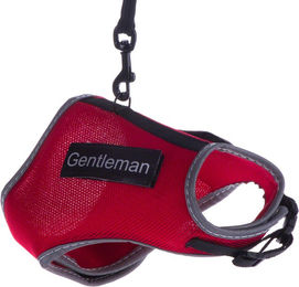 Produktbild von Trixie Katzengeschirr XCat mit Sticker und Leine - rot