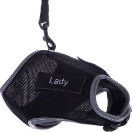 Produktbild von Trixie Katzengeschirr XCat mit Sticker und Leine - schwarz