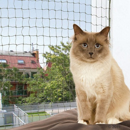 Produktbild von Trixie Katzenschutznetz mit Drahtverstärkung 4 x 3 m - 4 m