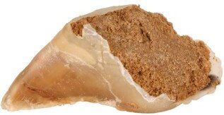 Produktbild von Trixie Kauhuf Fleischpastete 25 Stück