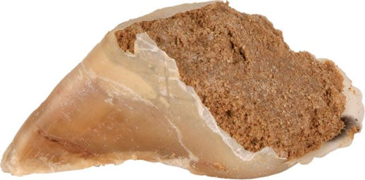 Produktbild von Trixie Kauhuf Fleischpastete - 5 x 115 g