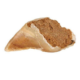 Produktbild von Trixie Kauhuf Rind - 25 x 115 g