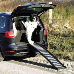 TRIXIE Klapp-Rampe Kunststoff/TPR 39 x 160 cm – Bild 1 von 9