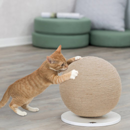 Produktbild von TRIXIE Kratzball auf Platte Jute/Holz