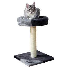 Produktbild von Trixie Kratzbaum Tarifa 52 cm grau/schwarz