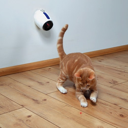 Produktbild von TRIXIE Laser-Pointer Moving Light 11 cm weiß/blau