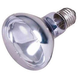 Produktbild von Trixie Neodymium Wärme-Spotlampe 100 W - 1 Stk.
