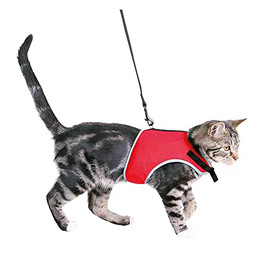 Produktbild von TRIXIE Softgeschirr mit Leine für Katzen - 1 Stk.