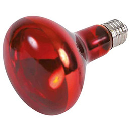 Produktbild von TRIXIE Terrarienleuchte Infrarot Wärme-Spotlampe - 1 Stk.
