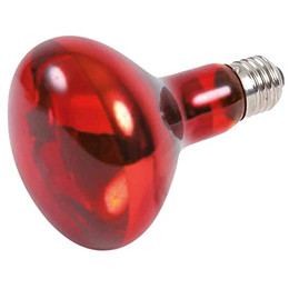 Produktbild von TRIXIE Terrarienleuchte Infrarot Wärme-Spotlampe - 1 Stk.