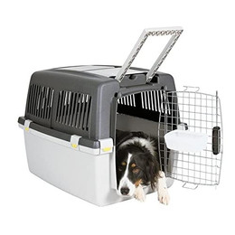 Produktbild von Trixie Transportbox Gulliver Größe 5