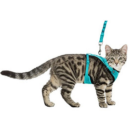 Produktbild von TRIXIE Y-Geschirr Mesh mit elastischer Leine für Katzen - 1 m