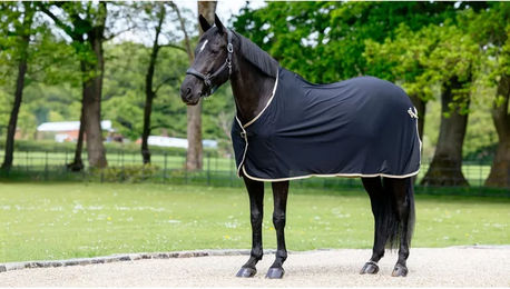 Trockenes Hemd für Pferde LeMieux – Bild 1 von 4