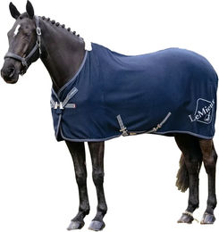 Produktbild von Trockenes Hemd für Pferde LeMieux Kudos