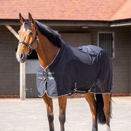 Produktbild von Trockenes Hemd für Pferde LeMieux Kudos Hybrid