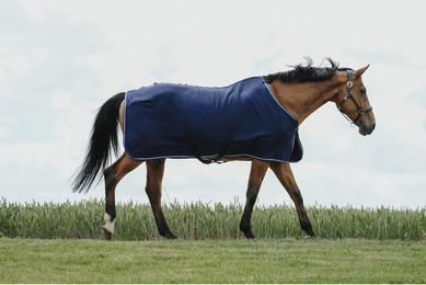 Produktbild von Trockenes Hemd für Pferde Riding World