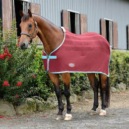 Produktbild von Trocknende Decke für Pferde Weatherbeeta Scrim Cooler Standard