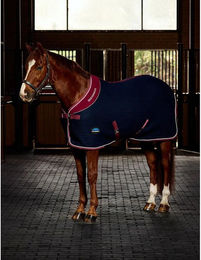 Produktbild von Trocknende Decke für Pferde Weatherbeeta Thermocell