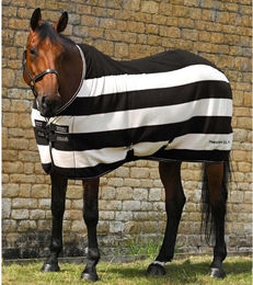 Produktbild von Trocknende Fleecedecke für Pferde Premier Equine Vellus
