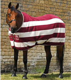 Produktbild von Trocknende Fleecedecke für Pferde Premier Equine Vellus