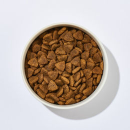 Truthahn mit Kartoffel – Bild 1 von 2