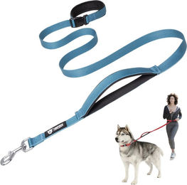 Produktbild von TSPRO Hundeleine Verstellbare Hundeführleine zum Spazierengehen und Laufen mit Kontroll-Sicherheitspolstergriff und Schwerlast, geeignet für große Hunde, Blau, Freihand-Verschluss, (BLAU blau