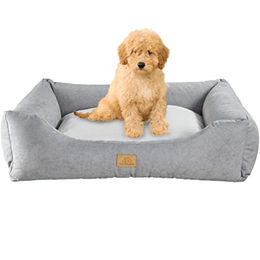 Tagträumer Hundebett Joy Grau Waschbar Ergonomisches Hundesofa für kleine Hunde 60 x 50 x 18 cm – Bild 1 von 4