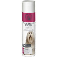 Produktbild von TAKE CARE Glanz- und Pflege-Intensiv-Shampoo 250ml - 250 ml