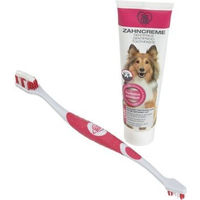 Produktbild von TAKE CARE Zahnpflege Set Rosa