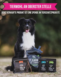Tales & Tails Lachsöl für Hunde mit Omega 3 zur Unterstützung von Haut und Fell, ohne Farb- und Aromastoffe, 240ml – Bild 1 von 3