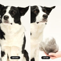 Produktbild von Tangle Teezer Pet Teezer Fellpflegebürste für kleine Hunde in Blau