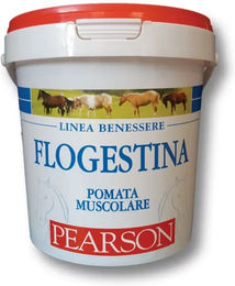 Produktbild von Tattini Flogestina Wundpflege Creme für Pferde 1500g