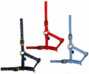 Produktbild von Tattini Fohlenhalfter aus Nylon in Rot
