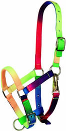 Tattini Halfter für Ponys aus Nylon in Bunt – Bild 1 von 2