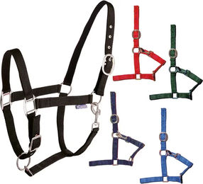 Produktbild von Tattini Nylonhalfter für Ponys mit doppelter Verstellung