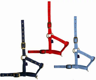 Produktbild von Tattini Pferdefohlenhalfter aus Nylon in Blau