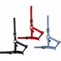 Produktbild von Tattini Pferdefohlenhalfter aus Nylon in Blau