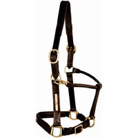 Produktbild von Tattini Pferdehalfter aus gestepptem Leder in Schwarz für Warmblut