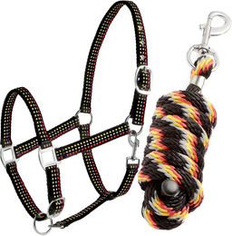 Produktbild von Tattini Pferdehalfter und Longe aus Nylon in Schwarz und Bunt