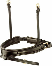 Produktbild von Tattini Reithalfter aus Leder für Vollblut in Braun oder Schwarz