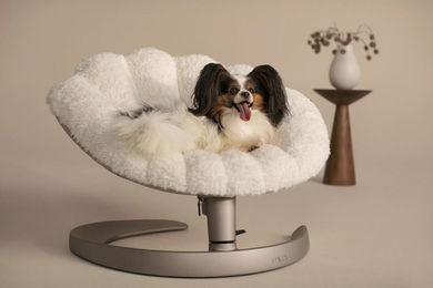 Tavo Tierbett Shell Hundekorb für Riesenrassen aus Aluminium in Beige und Weiß – Bild 1 von 3
