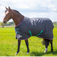 Produktbild von Tempest Original 300 Pferdedecke ER908 Schwarz 160cm